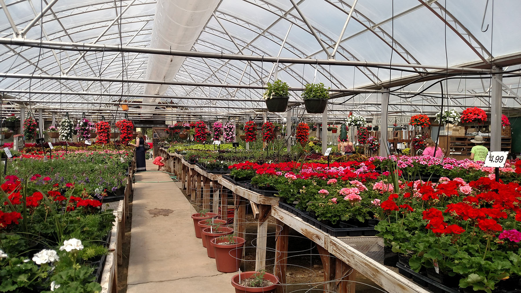 Garden Adventures Burlington Garden Center